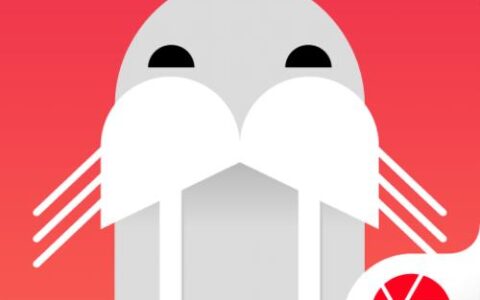 小海象App贷款：你需要知道的一切