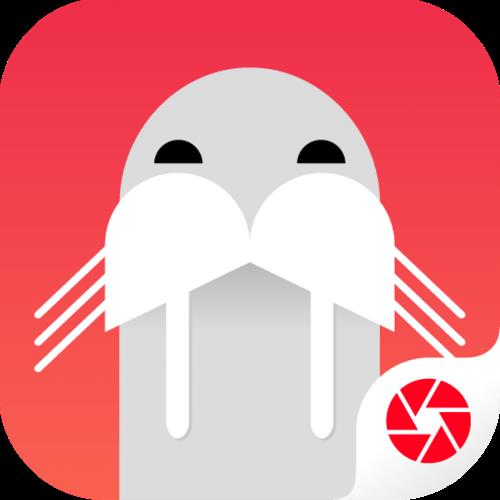 小海象App贷款：你需要知道的一切