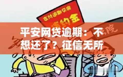 网贷逾期两年，后果很严重！