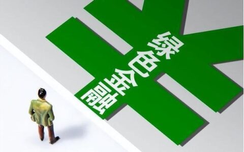 频繁小额贷款：便利背后的风险与挑战