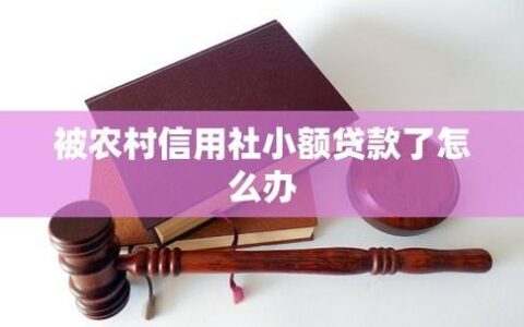 农村信用社小额贷款卡：农民朋友的&ldquo;及时雨&rdquo;