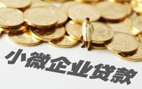 商业小额贷款：助力小微企业腾飞的资金翅膀