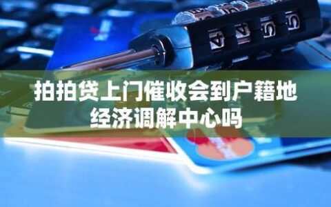 拍拍贷可以提前还款吗？最新政策解读及操作指南！