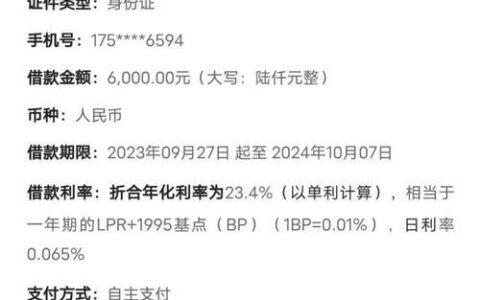 最新小额贷款攻略：2024年快速借款指南