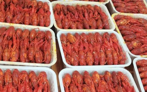 盱眙小额贷款公司哪家好？最新推荐及选择指南！