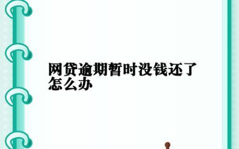 网贷逾期了，还能分期还款吗？