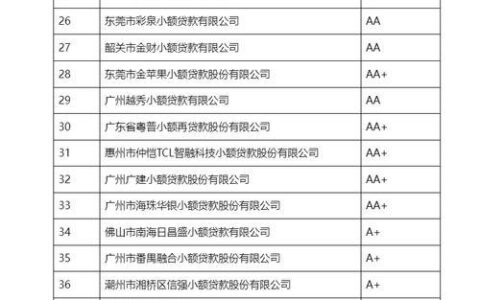如皋小额贷款公司哪家好？最新推荐及选择指南！