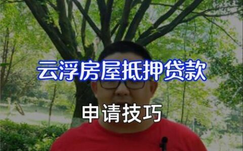 小额贷款申请指南：快速获取资金的实用技巧