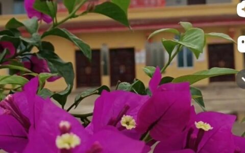 华融小额贷款：你身边的资金好帮手