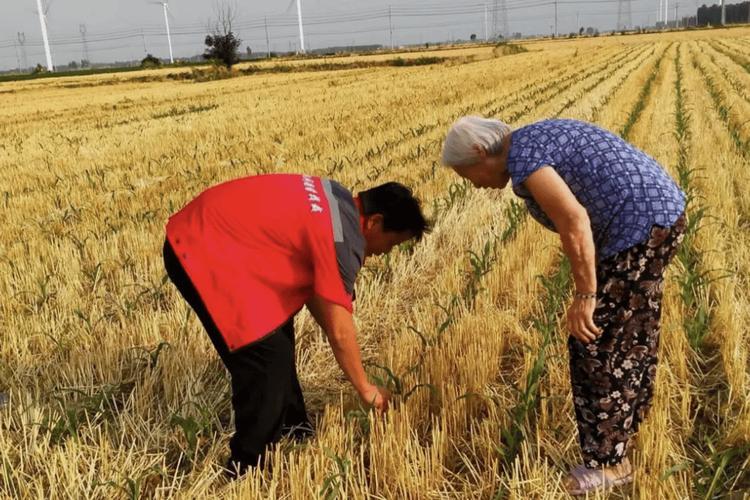 农村小额贷款：农民朋友的融资好帮手