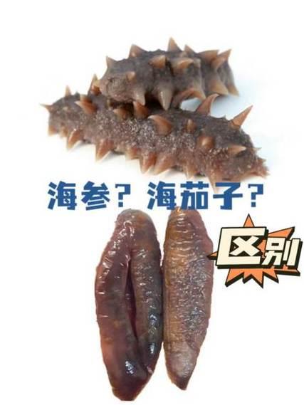 征信“花了”还能贷款买房吗？别慌！这篇帮你解答！