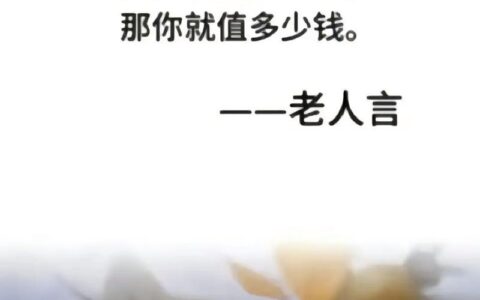 2024年无视征信也能借钱的网贷平台？人人理财来告诉你真相！