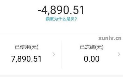 蚂蚁借呗还清后额度消失？别慌！几种常见原因及解决方法