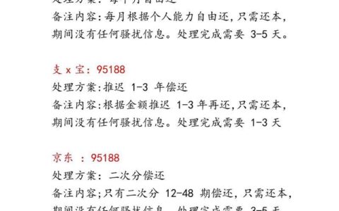 网贷逾期还款方式全解析：教你如何安全上岸
