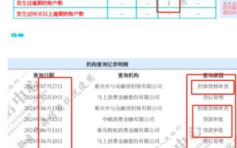 银行员工查征信有网贷记录会怎样？