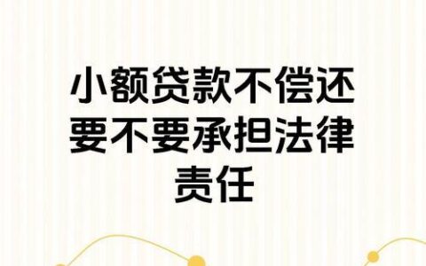 欠小额贷款不还，后果很严重！