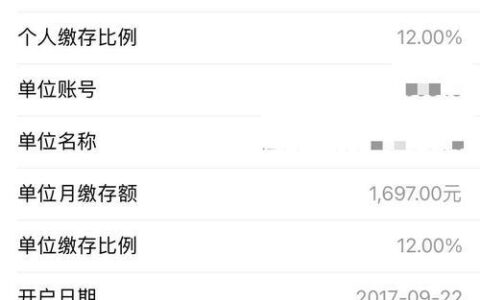不看负债和征信的大额贷款真的存在吗？