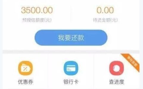 麦芽贷：小额贷款新选择？