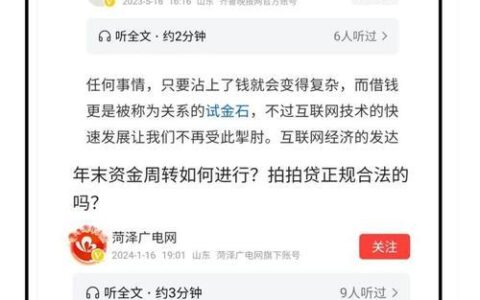 拍拍贷：网络贷款平台的先驱者