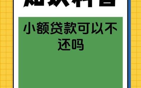 小额网贷不还的后果及应对措施