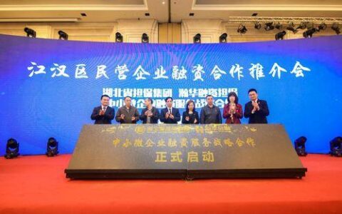 深圳瀚华小额贷款有限公司：中小企业融资好帮手