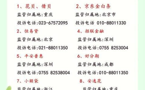 七八个网贷逾期怎么办？别慌！教你几招应对策略