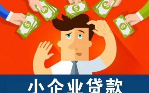 乐清小额贷款公司：助力小微企业发展