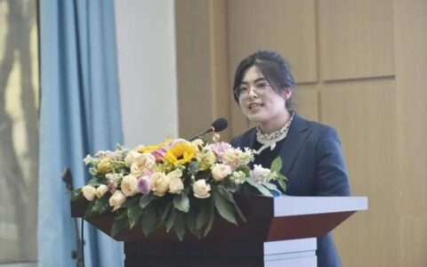 小额贷款个人工作总结：在挑战中成长，在实践中精进