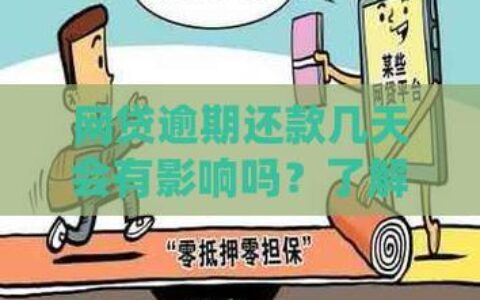 所有正规网贷全面逾期：后果严重，切勿忽视！