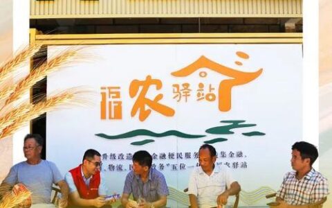 农村个人小额贷款：助力乡村振兴的金融活水