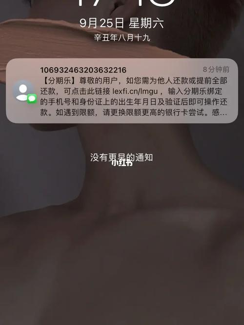 借呗 vs 分期乐：利息大PK，谁更胜一筹？