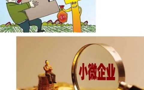 嵊州小额贷款公司：助力小微企业和个体户发展的金融活水