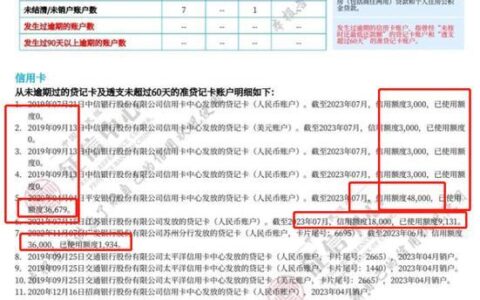 贷款买车，配偶征信也要查？