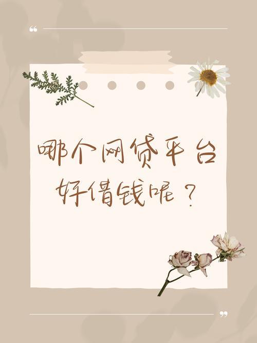 2025年精选：安心借款，这些网贷平台值得信赖（附避坑指南）