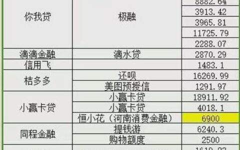 征信&ldquo;花&rdquo;了也能借到钱？网贷平台内部人员告诉你，这几点一定要注意！
