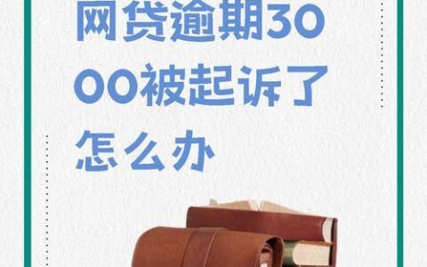 网贷逾期被起诉？别慌！后果及应对策略（2025最新版）