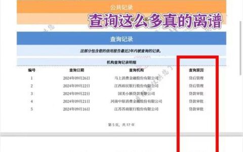 金蝉子贷款上征信吗？揭秘小额贷款背后的征信真相