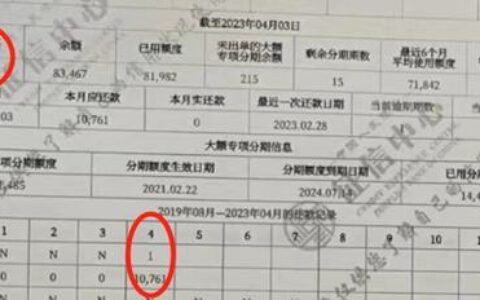 征信止付还能贷款吗？影响因素与应对策略