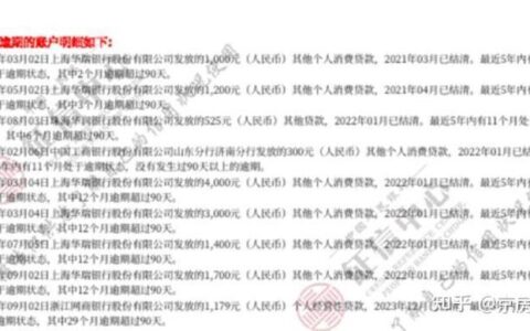 征信报告泄露风险：警惕他人冒用贷款，保护你的信用安全