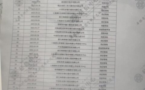 有网贷记录，征信还能过？揭秘审核关键，助你成功获贷！