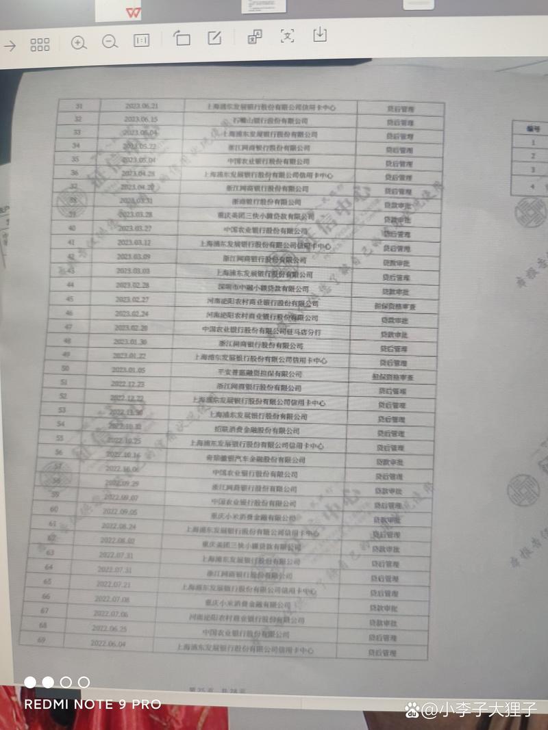 有网贷记录，征信还能过？揭秘审核关键，助你成功获贷！