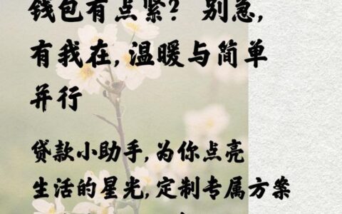 蒙城恒泰小贷：扎根乡土，助力小微企业腾飞（附最新贷款攻略）
