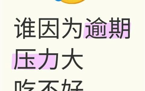 网贷逾期别慌！掌握这几招，轻松应对还款难题（附实用解决方案）