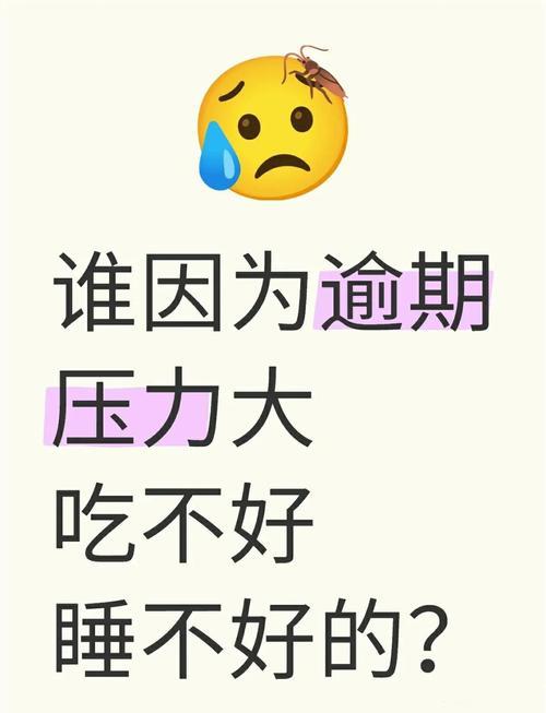 网贷逾期别慌！掌握这几招，轻松应对还款难题（附实用解决方案）
