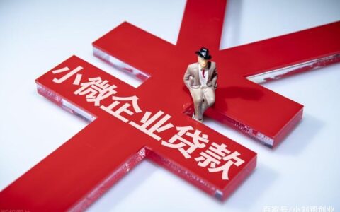 企业小额贷款平台：助力中小企业腾飞的翅膀