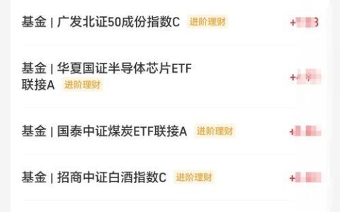 稳健理财之选：天弘永利债券B基金与投资策略