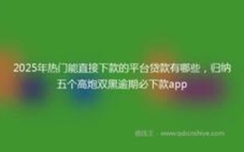 2025年高炮贷款APP平台新口子：风险与机遇并存，借贷需谨慎