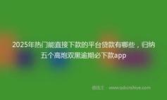 2025年高炮贷款APP平台新口子：风险与机遇并存，借贷需谨慎