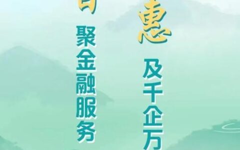 重庆市蚂蚁小额贷款公司：普惠金融的探索与实践