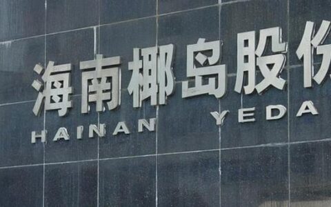 海南草根小额贷款公司：扎根椰岛，助力小微企业腾飞